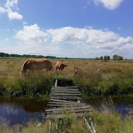 Dom Goscinny Ptaszarnia - Natura-Free Parking Świnoujście Exterior foto