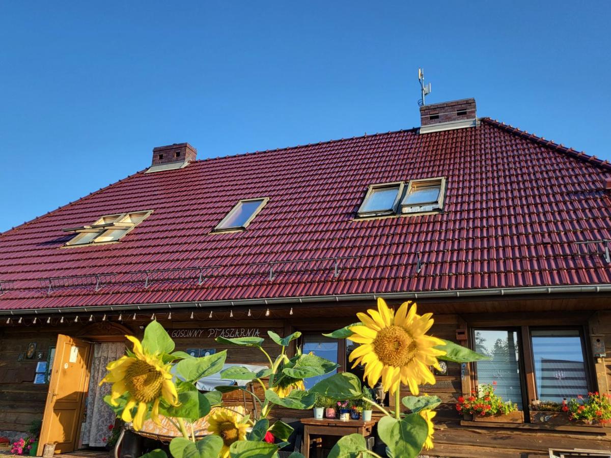 Dom Goscinny Ptaszarnia - Natura-Free Parking Świnoujście Exterior foto