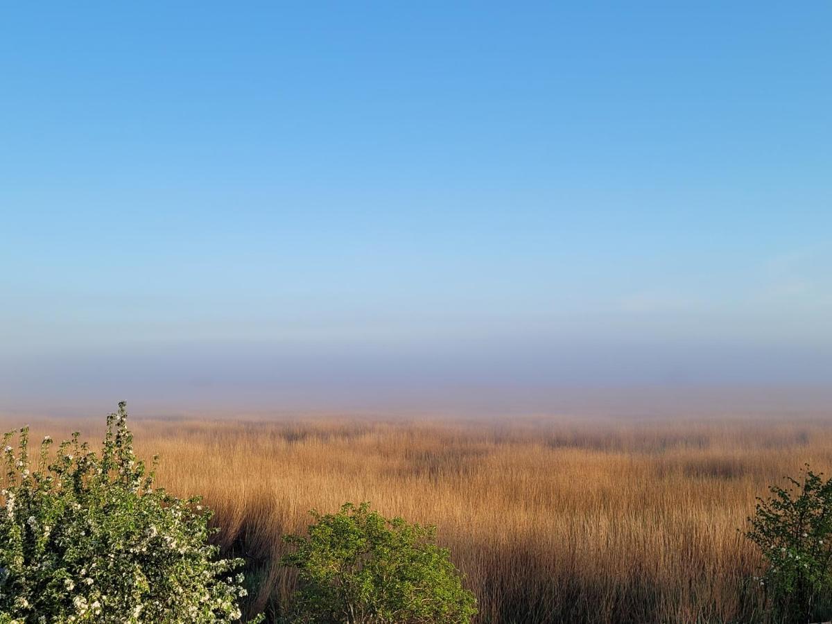 Dom Goscinny Ptaszarnia - Natura-Free Parking Świnoujście Exterior foto