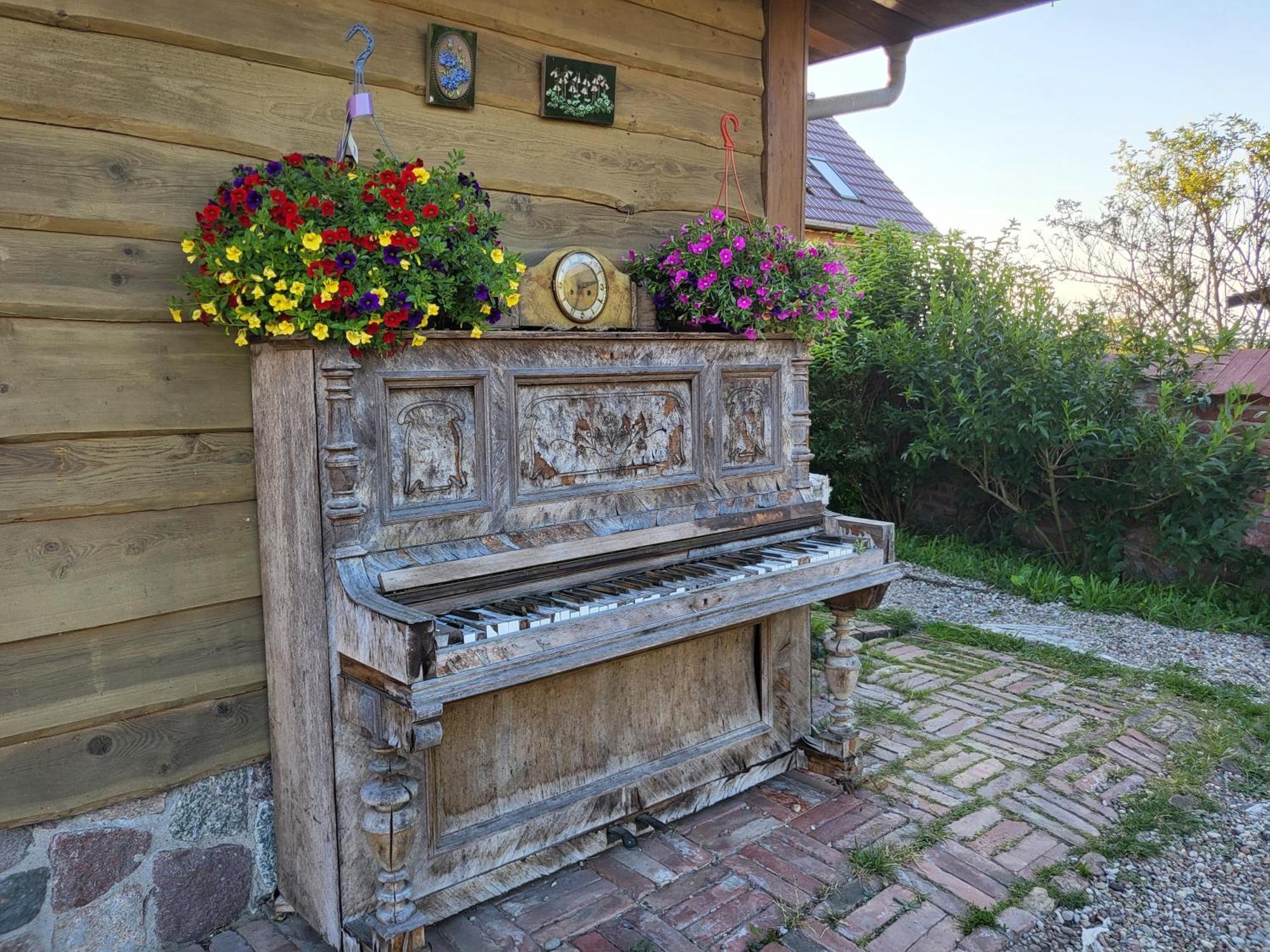 Dom Goscinny Ptaszarnia - Natura-Free Parking Świnoujście Exterior foto